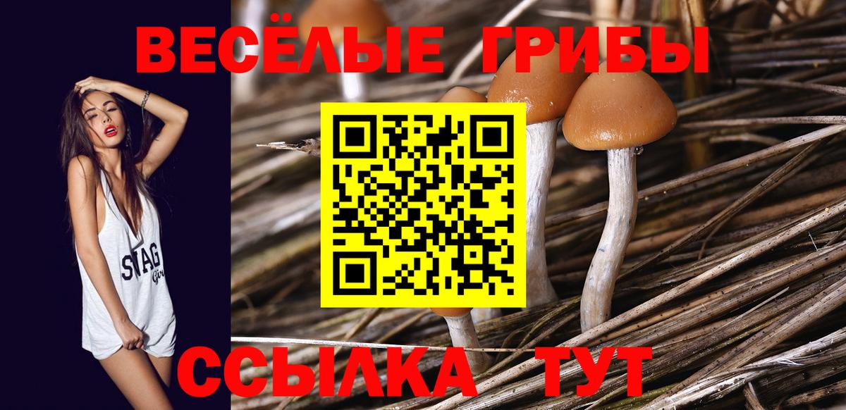 Верхний Уфалей  Галлюциногенные грибы Psilocybine cubensis  Вход с VPN  Галлюциногенные грибы Psilocybine cubensis 